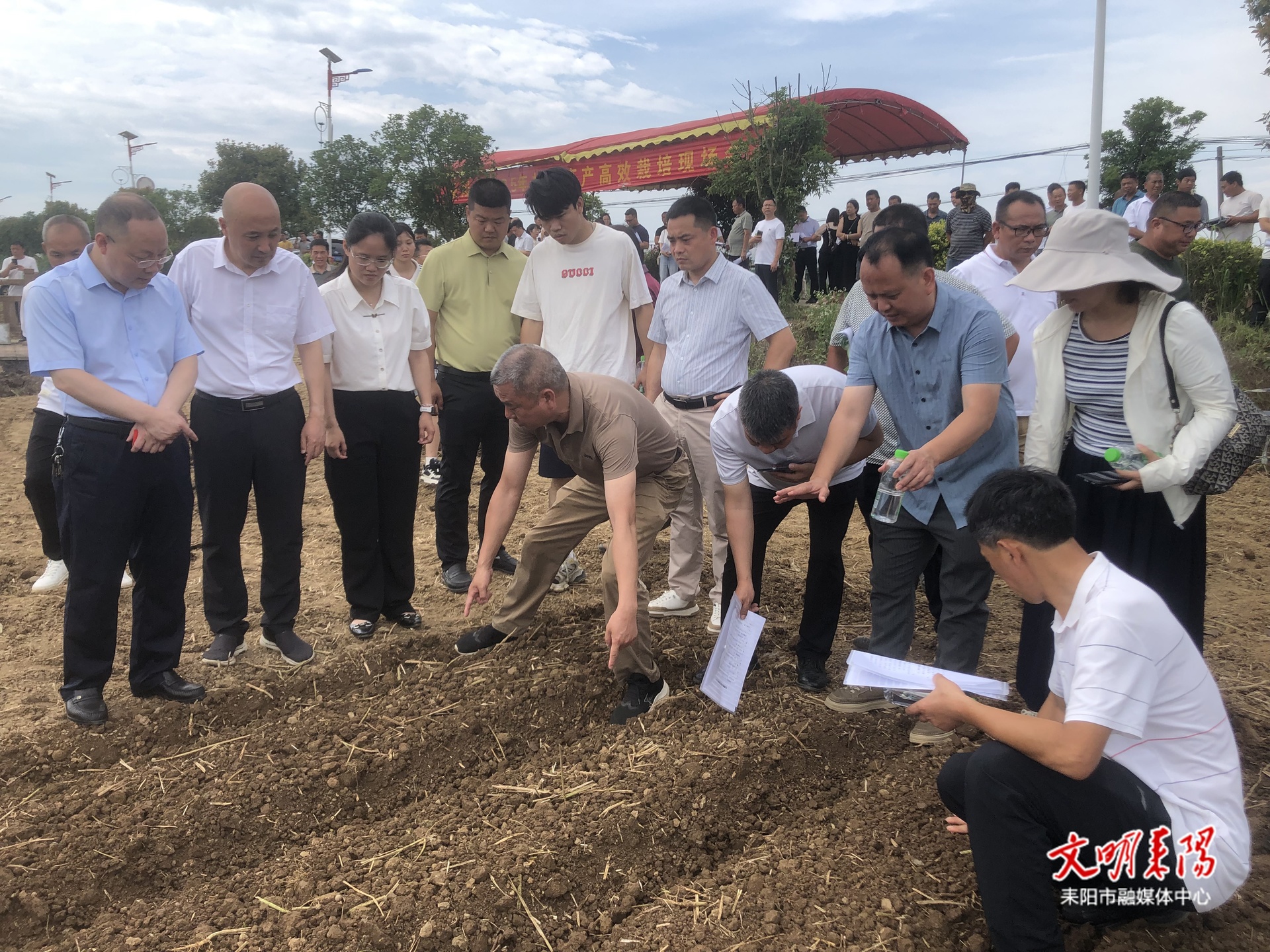 机械化赋能棉花种植 耒阳探索现代农业新路径
