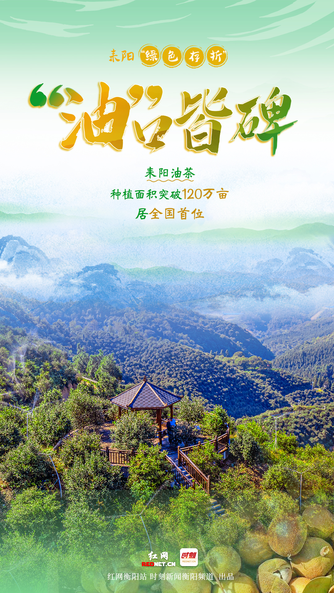 《红网时刻》系列报道：盘盘耒阳“绿色存折”① | 茶果流金 一树酿出振兴油