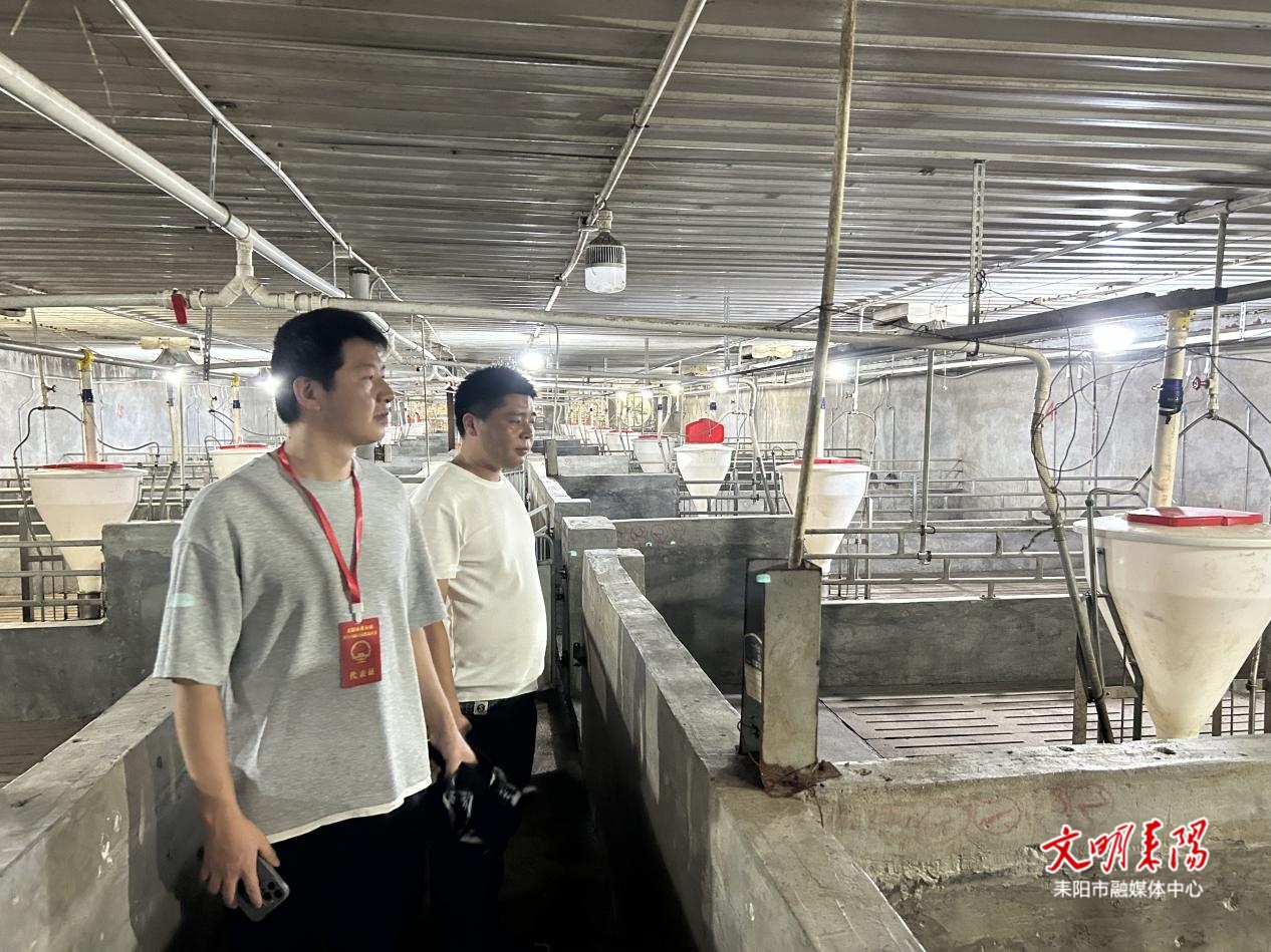 黄市镇开展“法治护绿人大行”活动