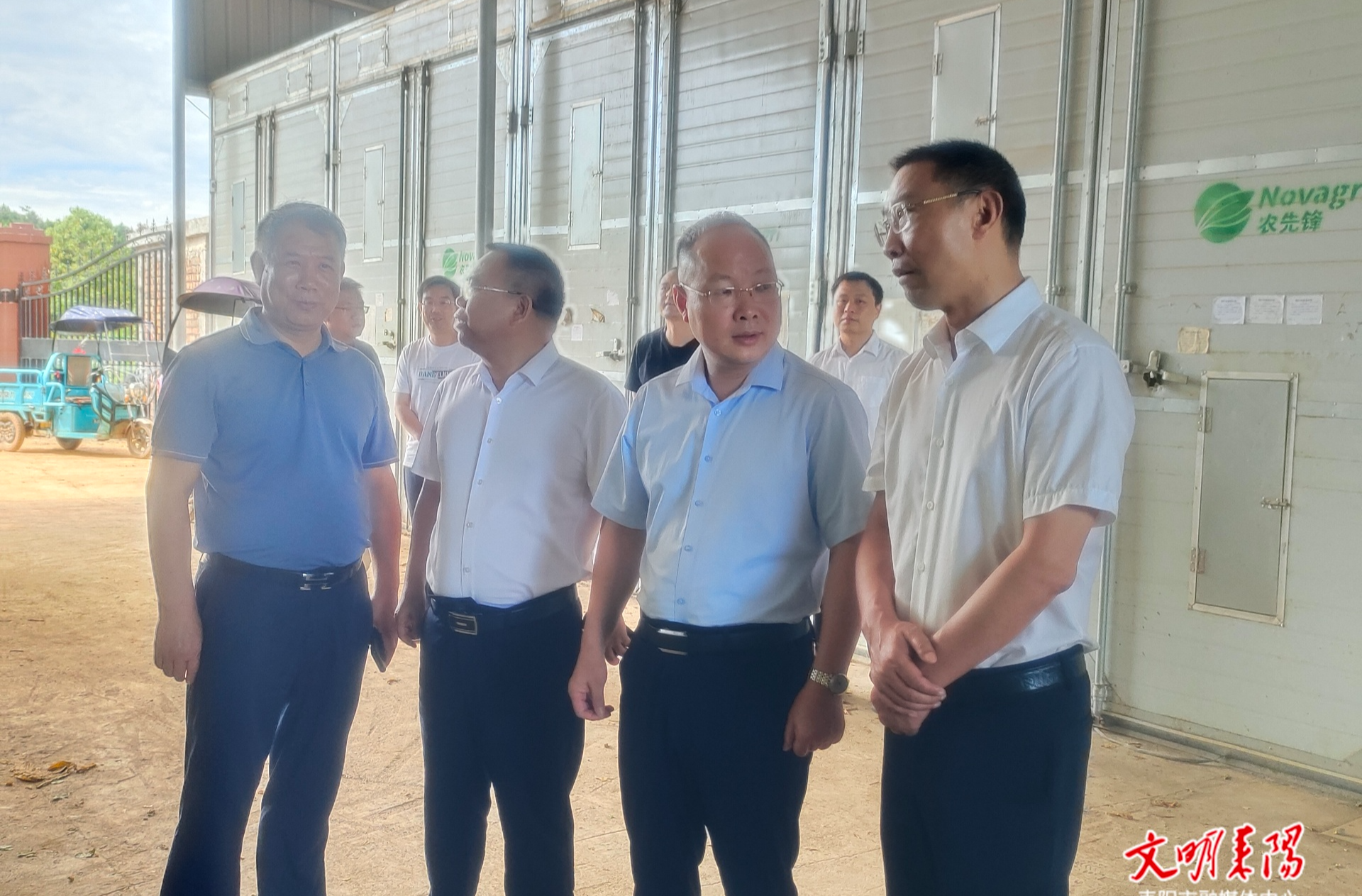 市领导到乡镇调研督导烤烟、巡林及安全生产工作