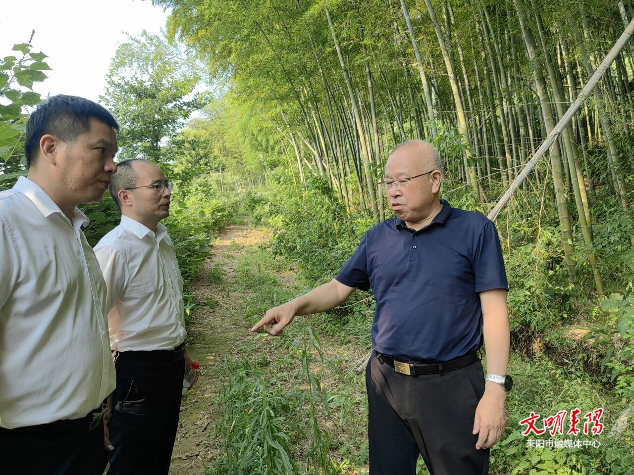 尹立鑫调度省委巡视组反馈交办地质灾害点隐患整治工作