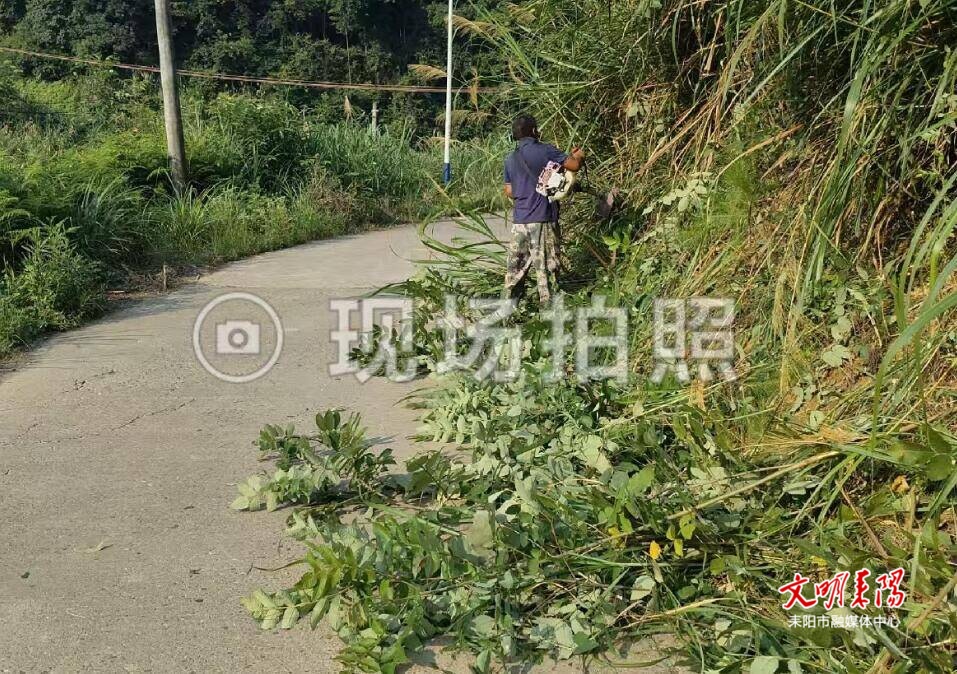 清障除杂焕新颜！三都镇“两站两员”扮靓乡村路