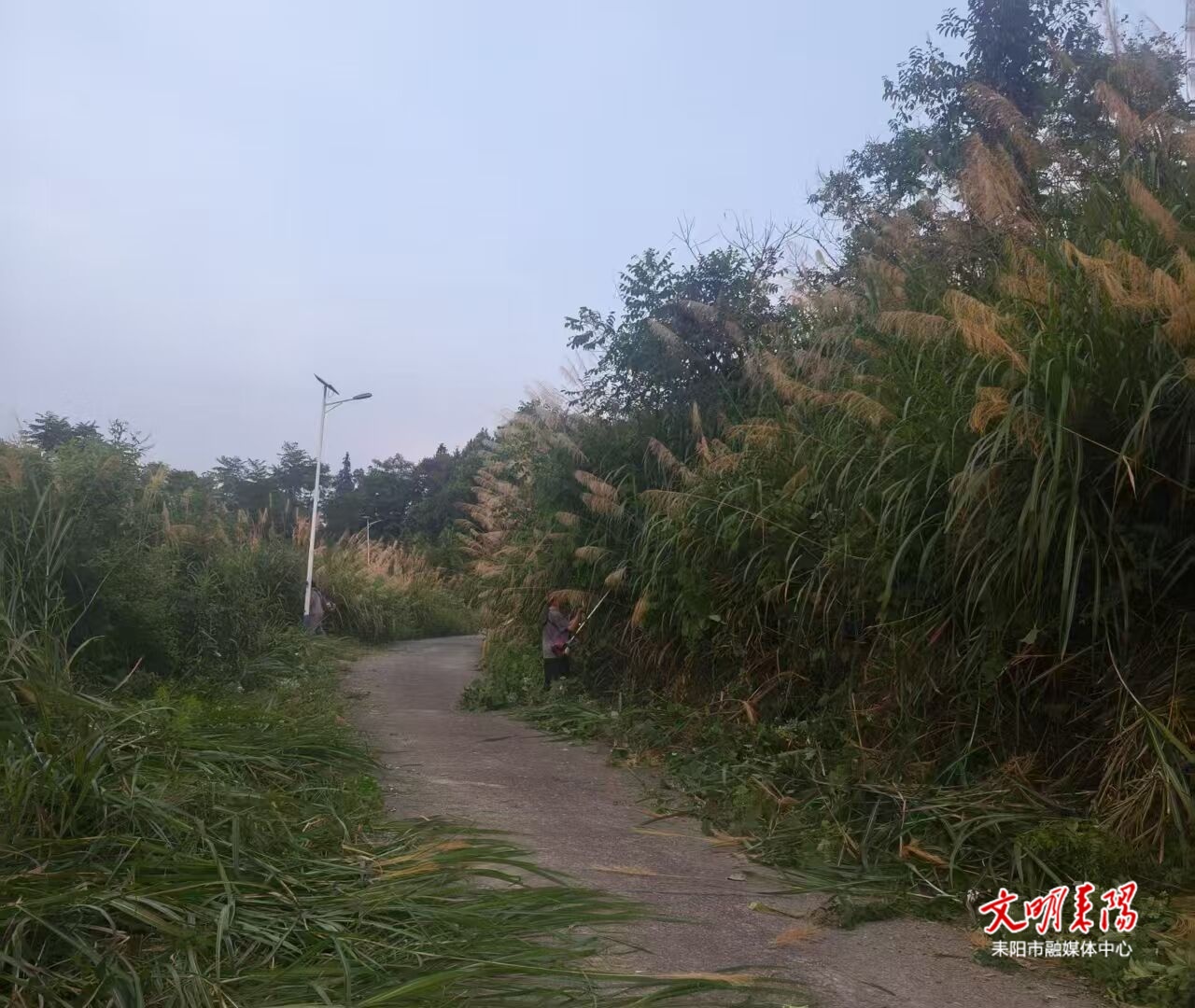 东湖圩镇泉山村：群众自发当“养路人”十载余，共护“四好农村公路”