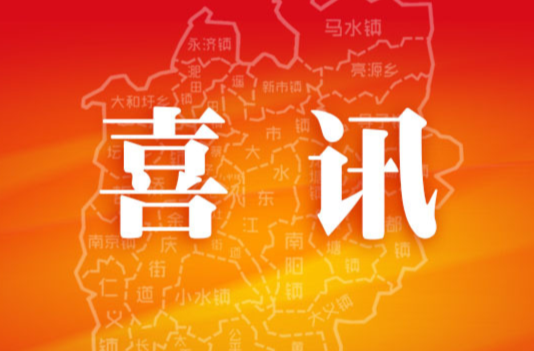 喜讯！耒阳市文联志愿服务队荣获全省 “三下乡” 优秀团队称号