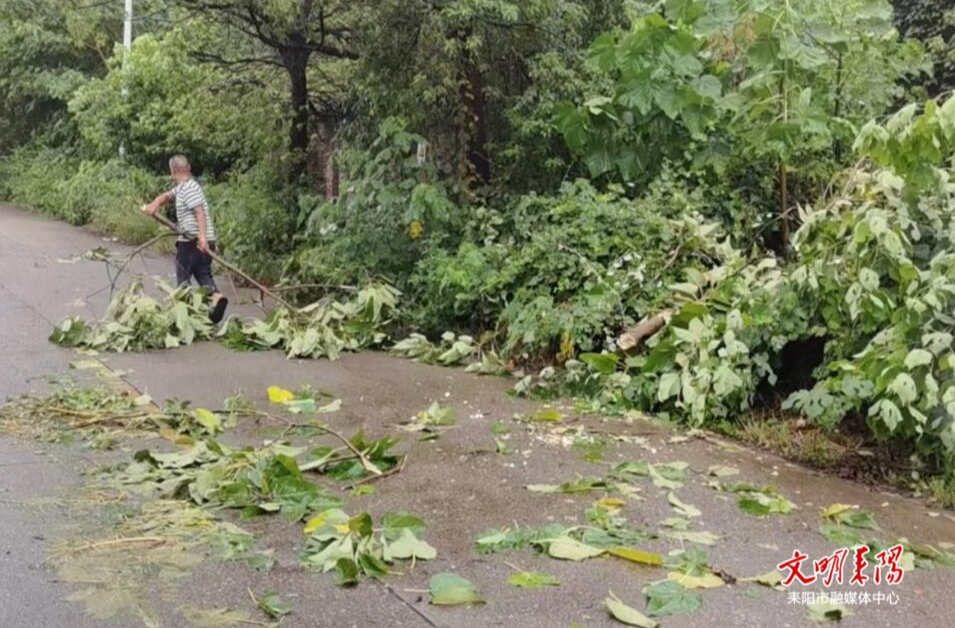 无畏风雨，全力以“复”！南京镇、水东江街道筑牢台风后交通“安全网”