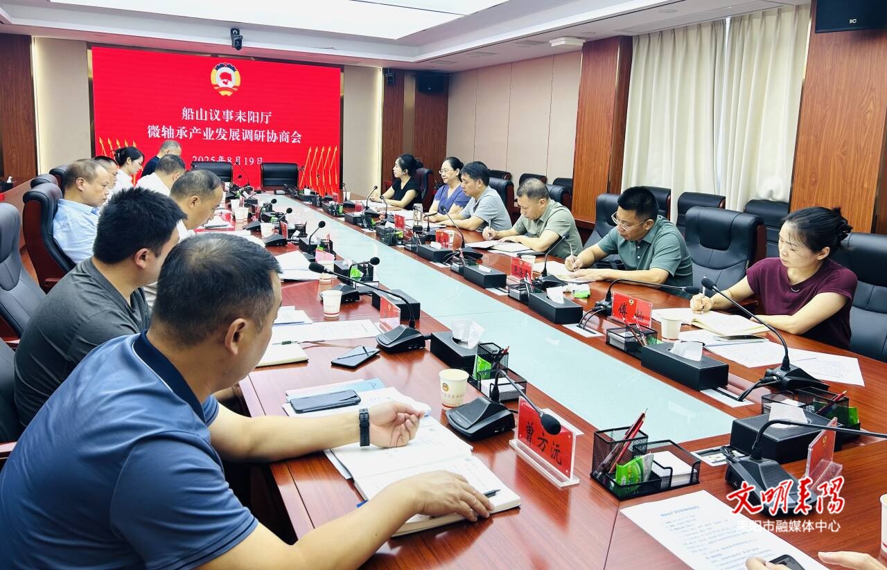 “船山议事耒阳厅”聚焦微轴承产业调研协商