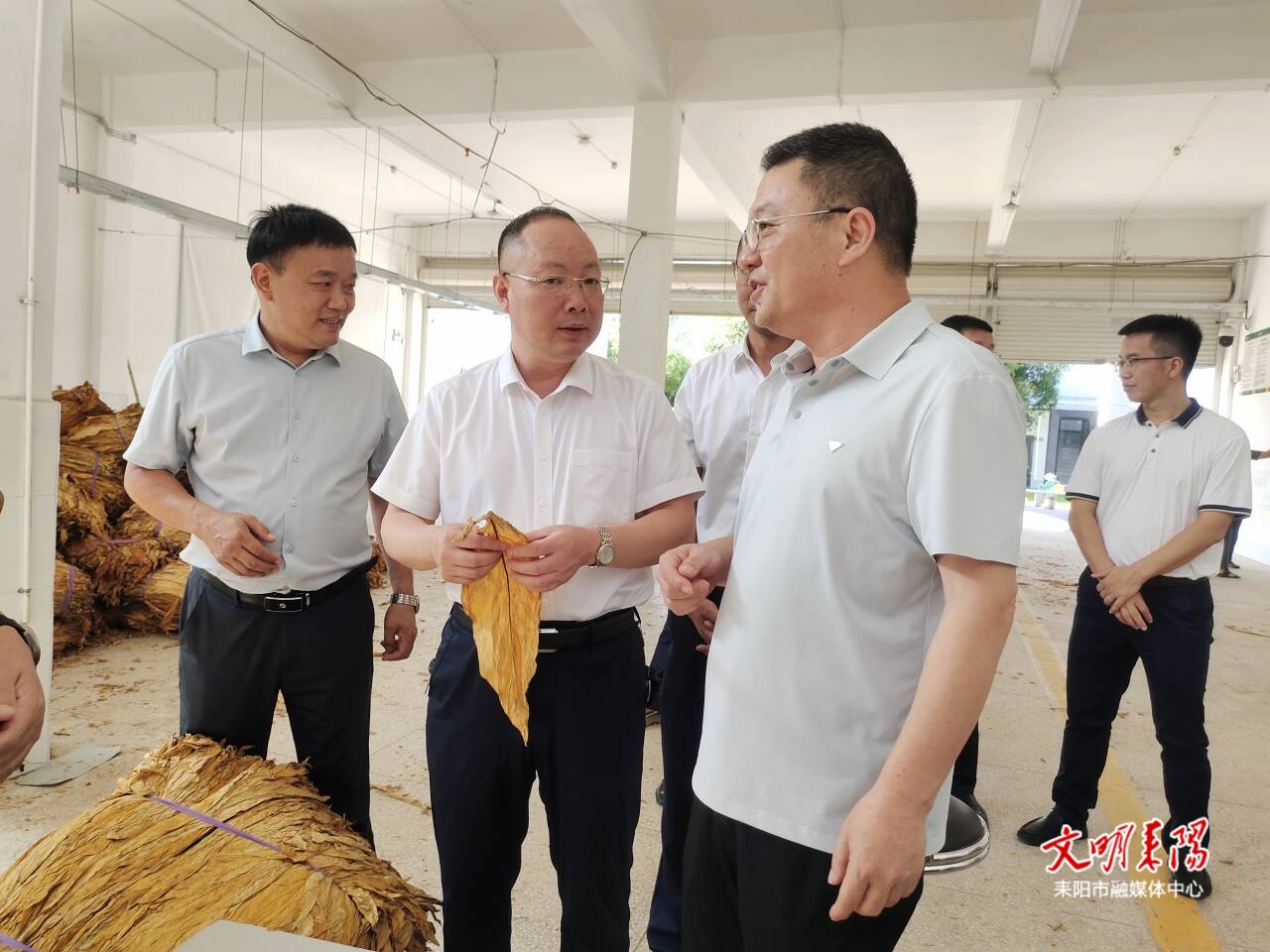 优化服务 严控质量 全力保障5万担烟叶收购任务圆满完成