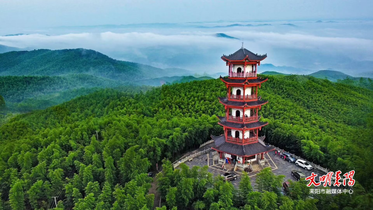 “一根竹”产业链的拔节生长 ——耒阳竹产业推动绿色高质量发展观察