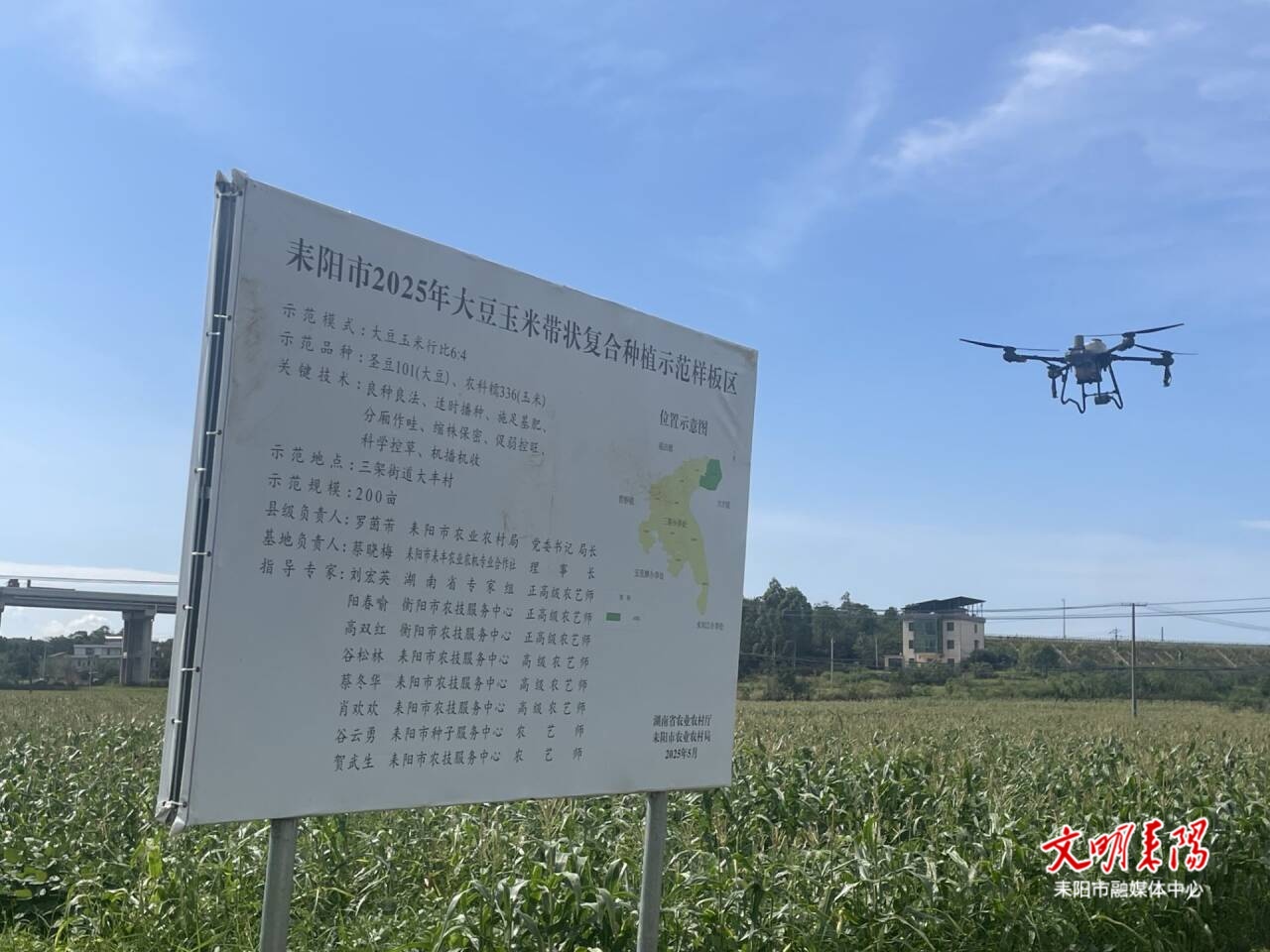 “数智+”为秋粮稳产丰收筑牢科技根基