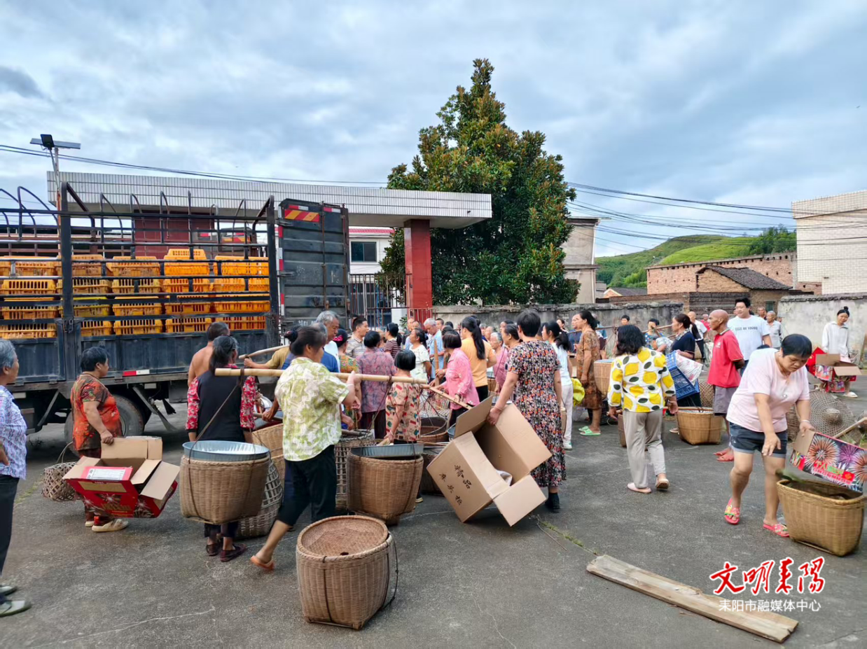 【耒水欢歌】“方寸地”变“增收园” 长坪村1.1万羽“致富鸡”点亮庭院经济