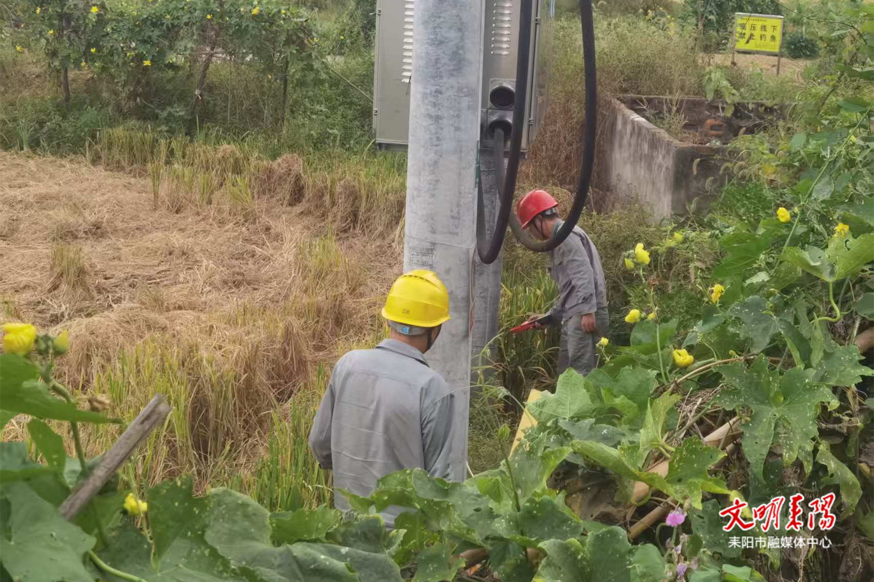 耒阳市发改局多领域发力 织密“双节”安全生产防护网