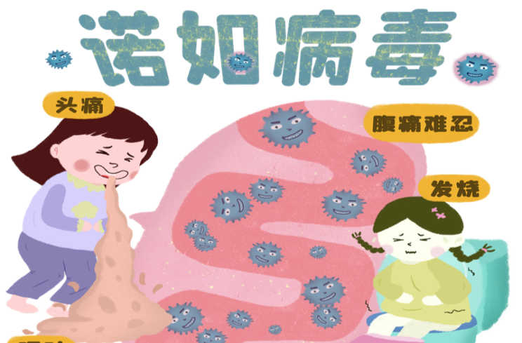 进入诺如病毒高发季，如何预防？市疾控中心专家支招