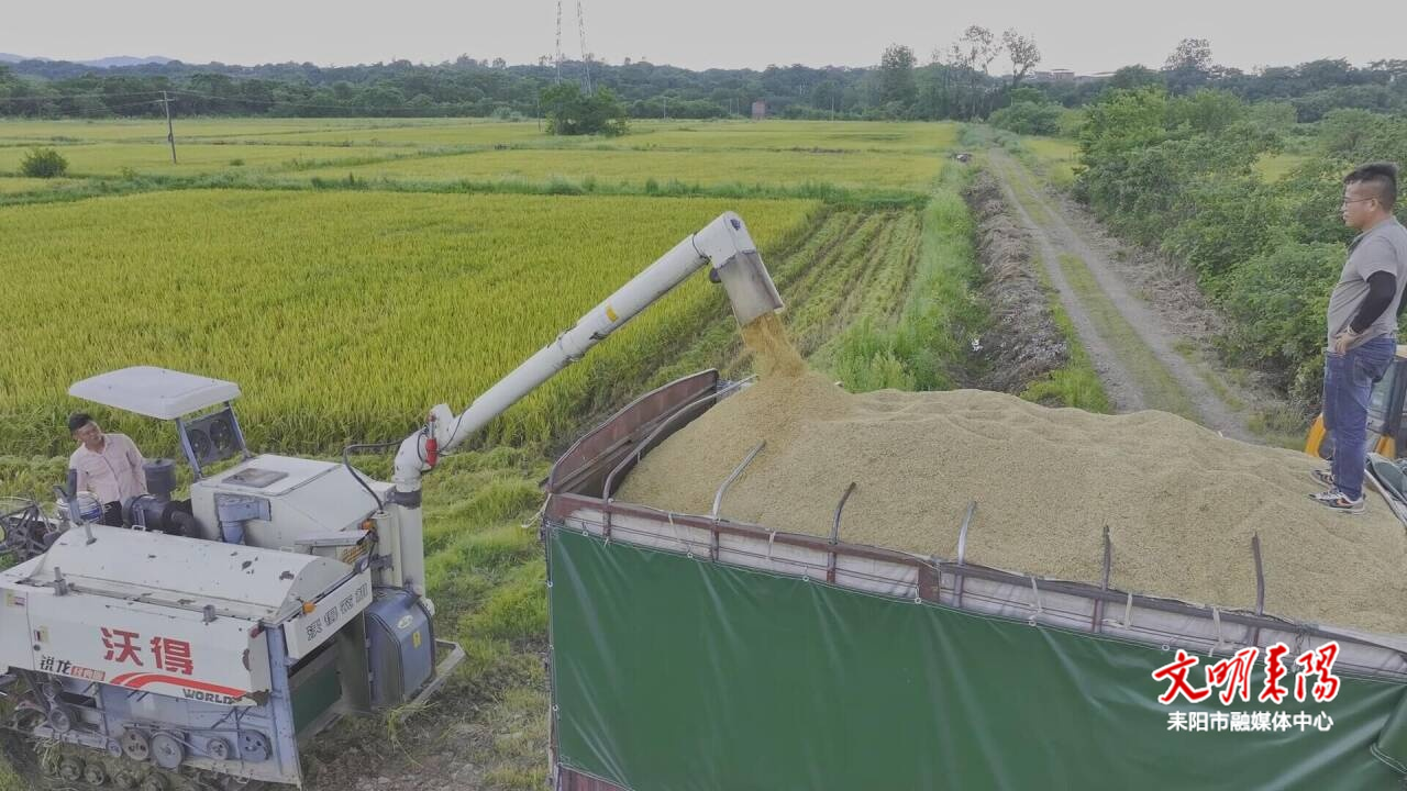 锚定 “三农” 高质量发展  绘就乡村振兴新图景