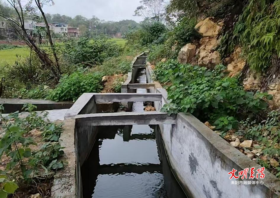 【耒水欢歌】以工代赈修渠又富民 红旗水库灌渠焕新颜