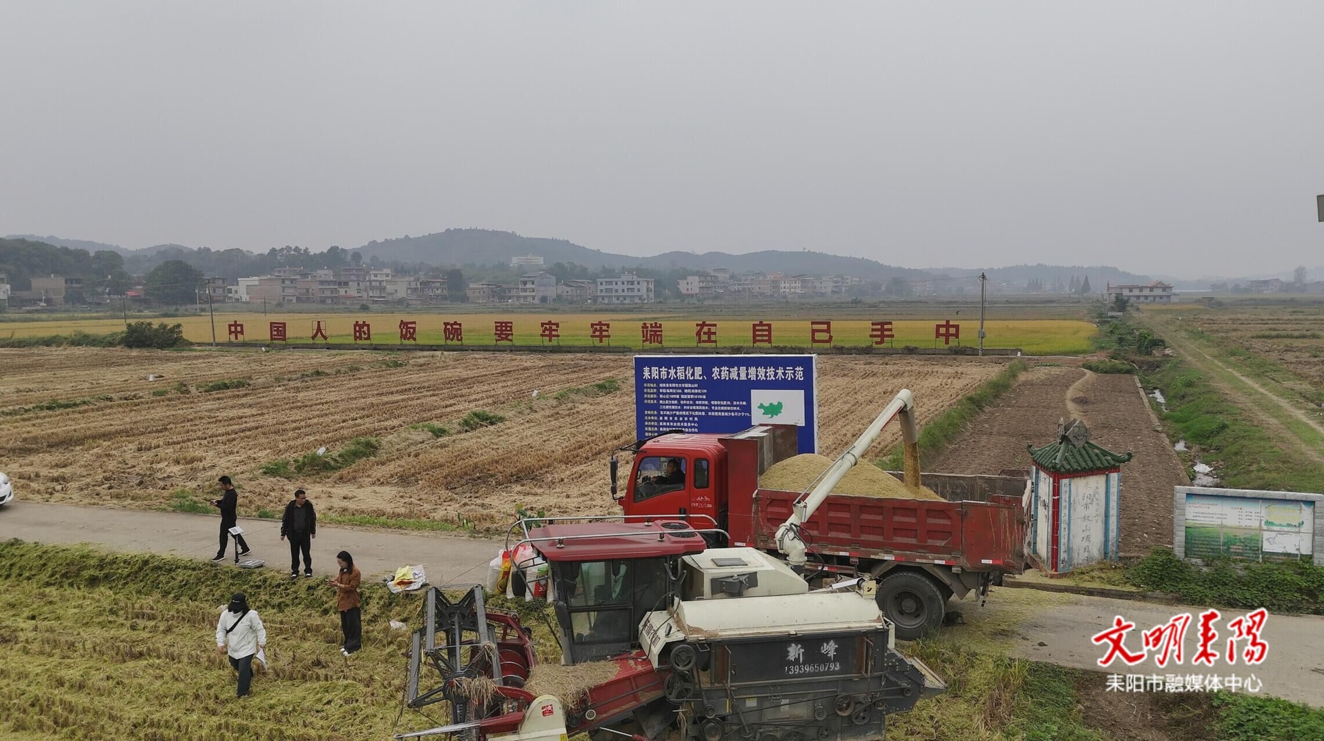 耒阳双季稻万亩示范片晚稻开测