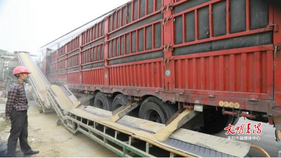 政策托底惠农心 耒阳启动中晚稻收购工作