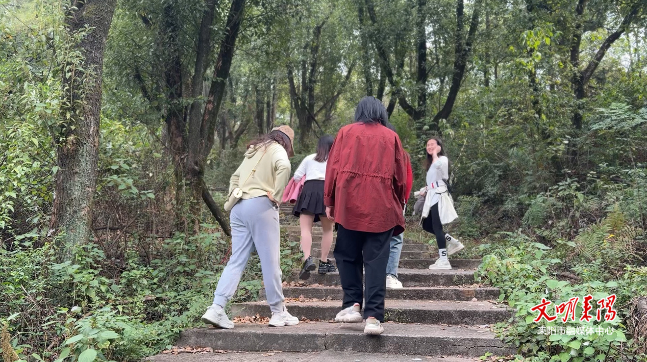 重阳登高赏秋！感受耒阳鹿歧峰“打卡”热