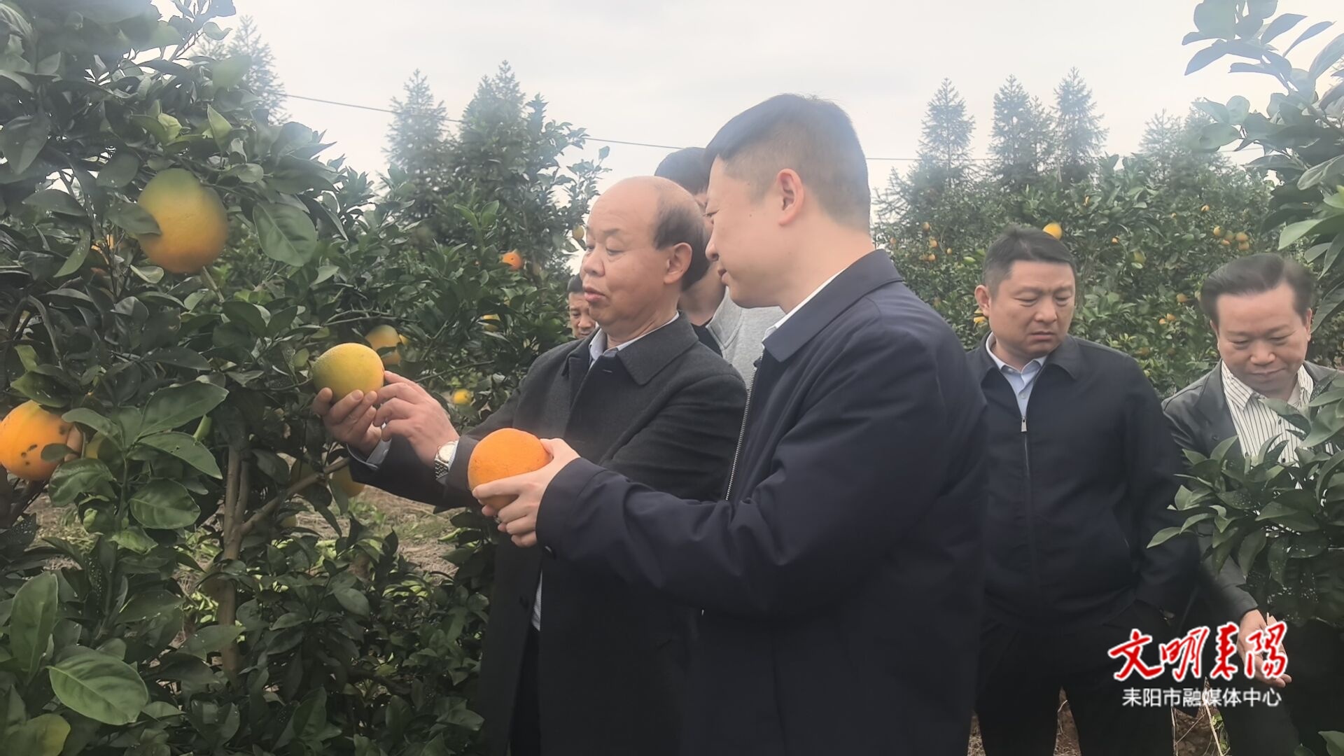 市领导到仁义镇调研乡村振兴等工作