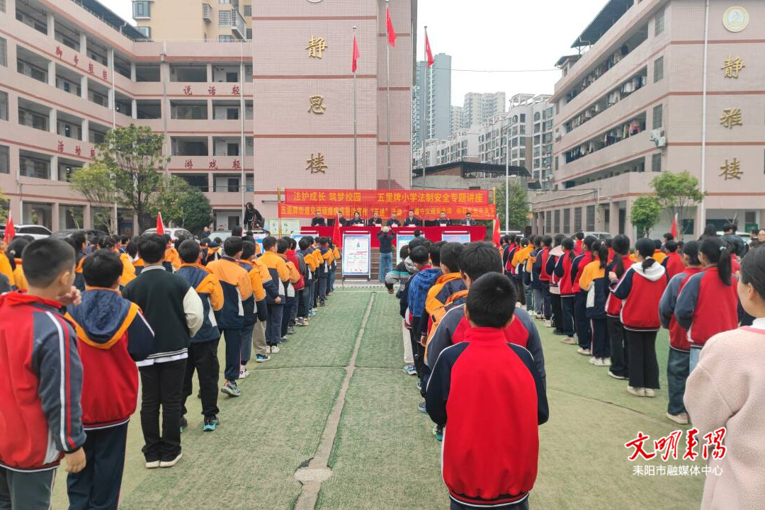 耒阳市各乡镇（街道）开展送“防护指南”进校园活动