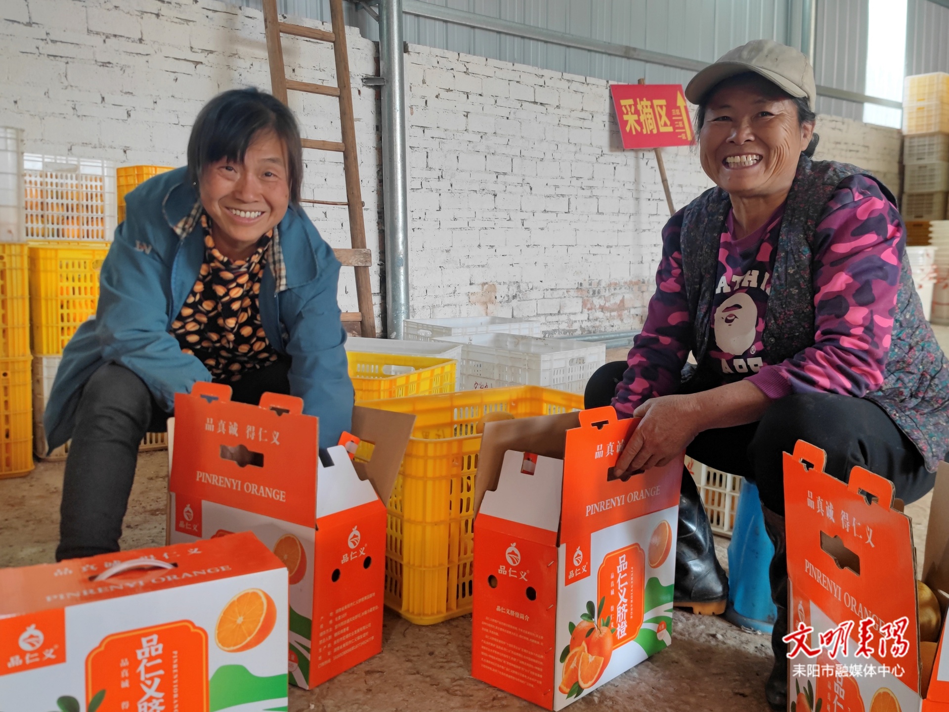 耒阳仁义脐橙嘉年华即将开启  29.9元预约领礼包 十斤脐橙带回家