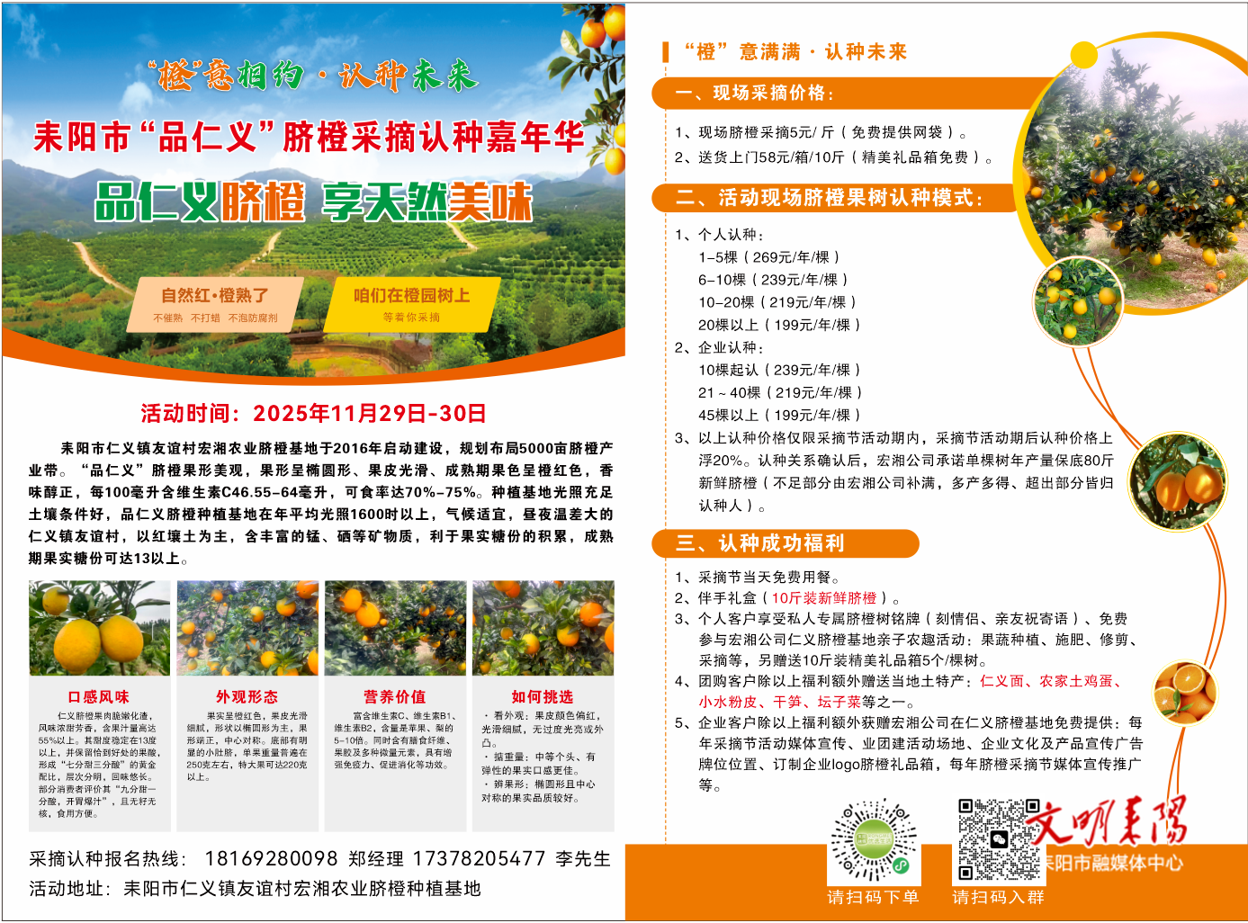 耒阳 “品仁义” 脐橙采摘认种嘉年华11 月底启幕  认种果树享保底产量福利