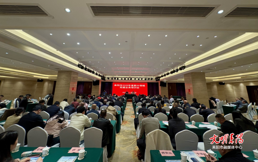 助推“思想+能力”双提升！耒阳举办2025年度新兴领域党建业务培训