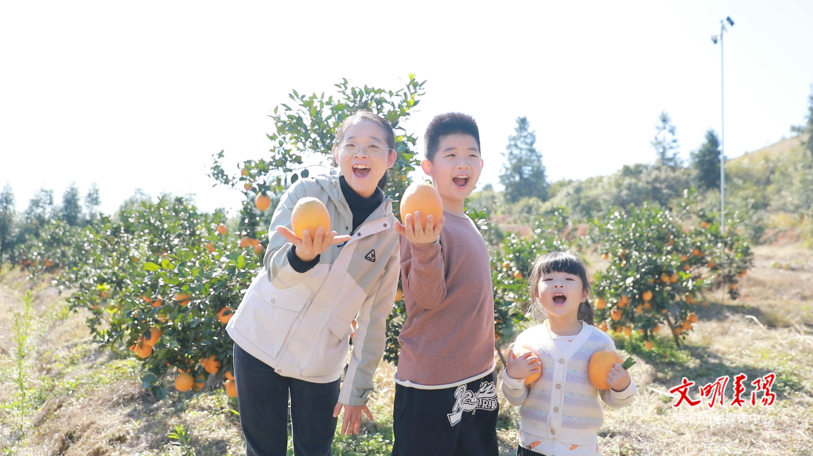 【耒水欢歌】果香满园迎客来 仁义脐橙采摘季“橙”意十足