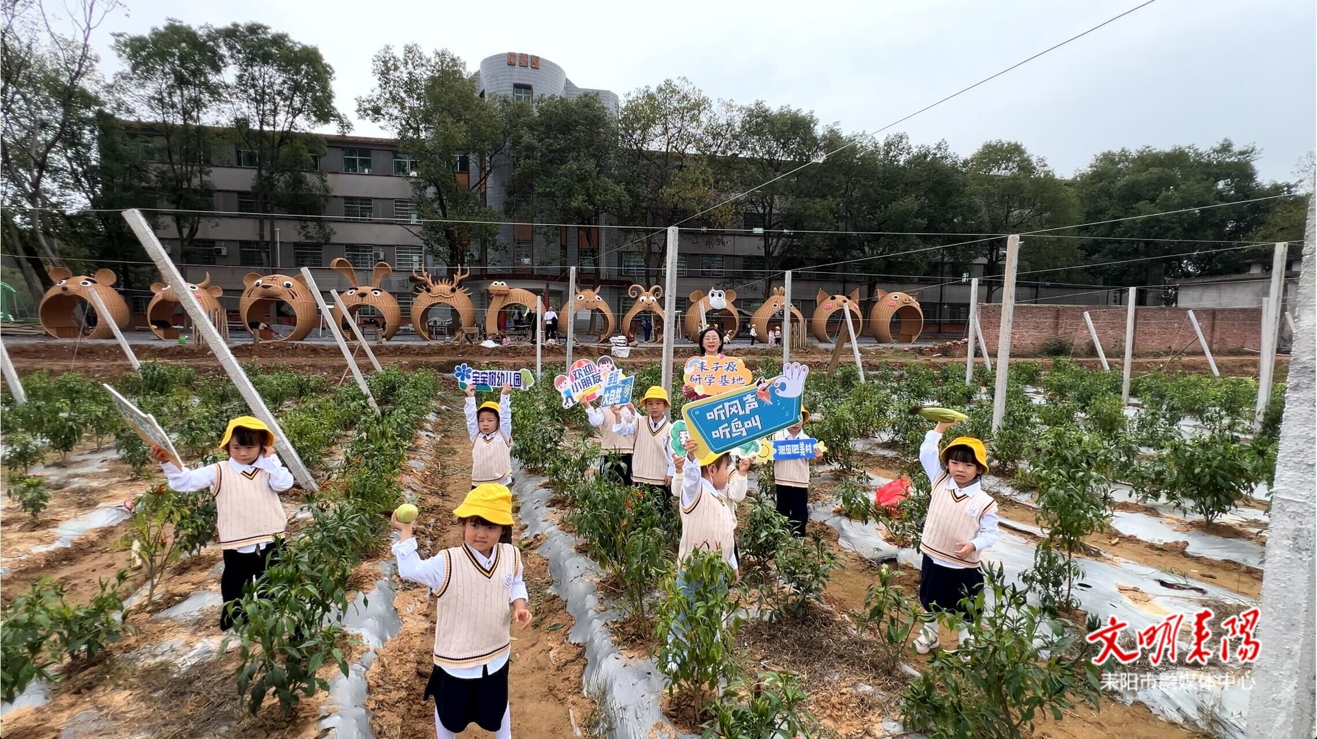 【耒水欢歌】淝田镇：田野里长出“未来课堂” 乡村涌动新活力