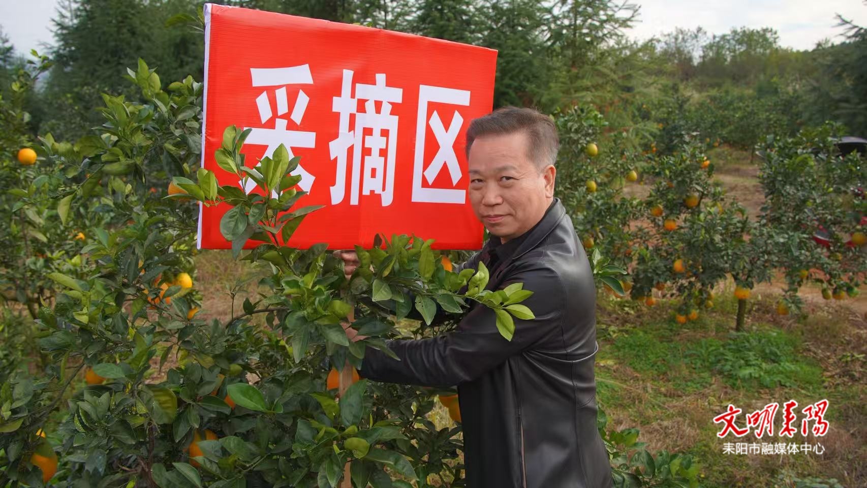 【凡人·微光】李红云：荒山点“橙”金 解锁千亩橙林的绿色财富密码