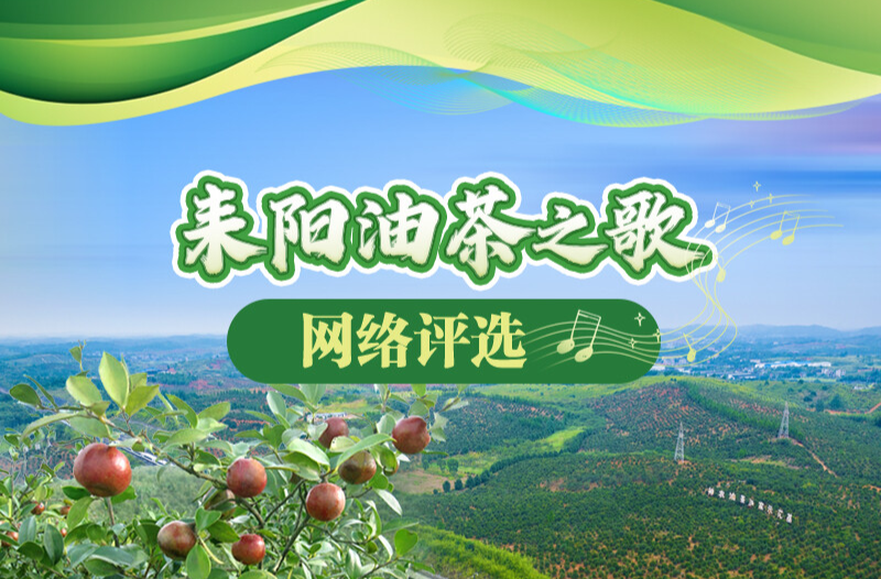 全国网上征集耒阳油茶之歌网络投票