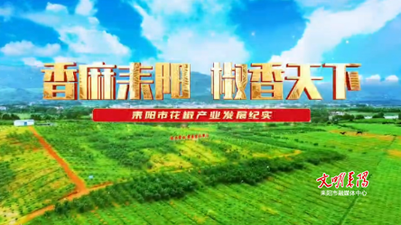 香麻耒阳  椒香天下———耒阳市花椒产业发展纪实
