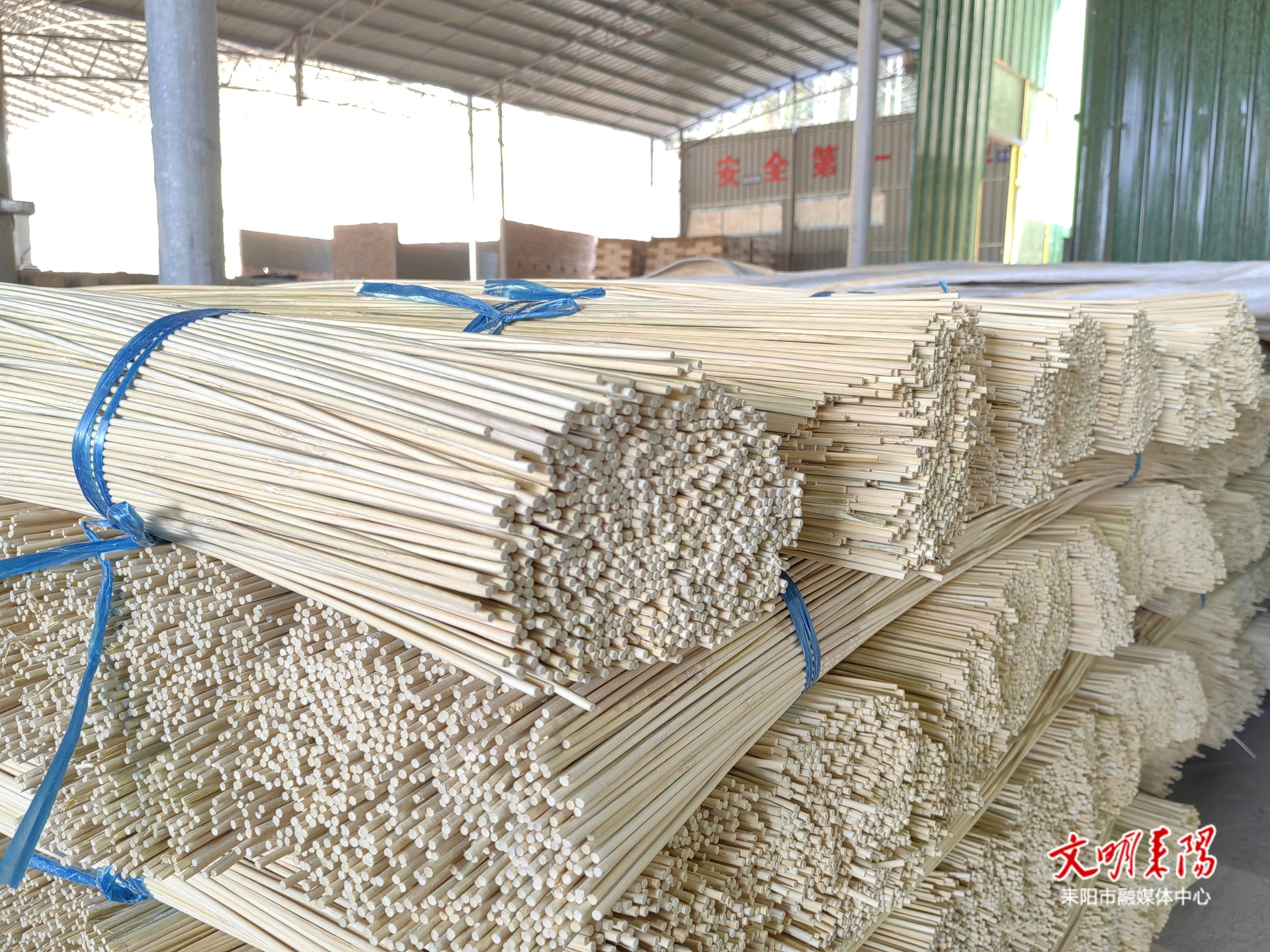 【耒水欢歌】立“竹”资源 产业振兴“节节高”