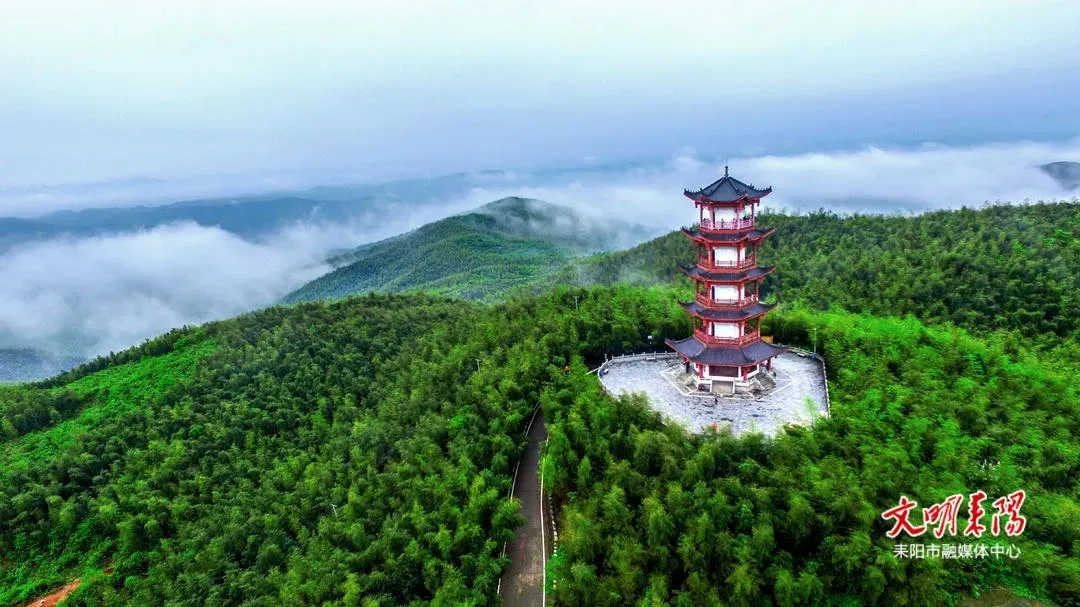 省榜+1！耒阳蔡伦竹海民宿集群，16万亩四季盲盒等你开