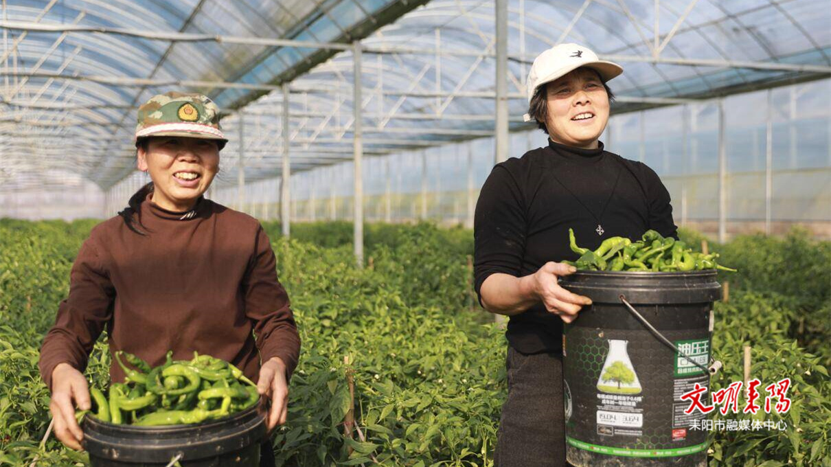 多点发力强支撑 移民后扶绘就新图景