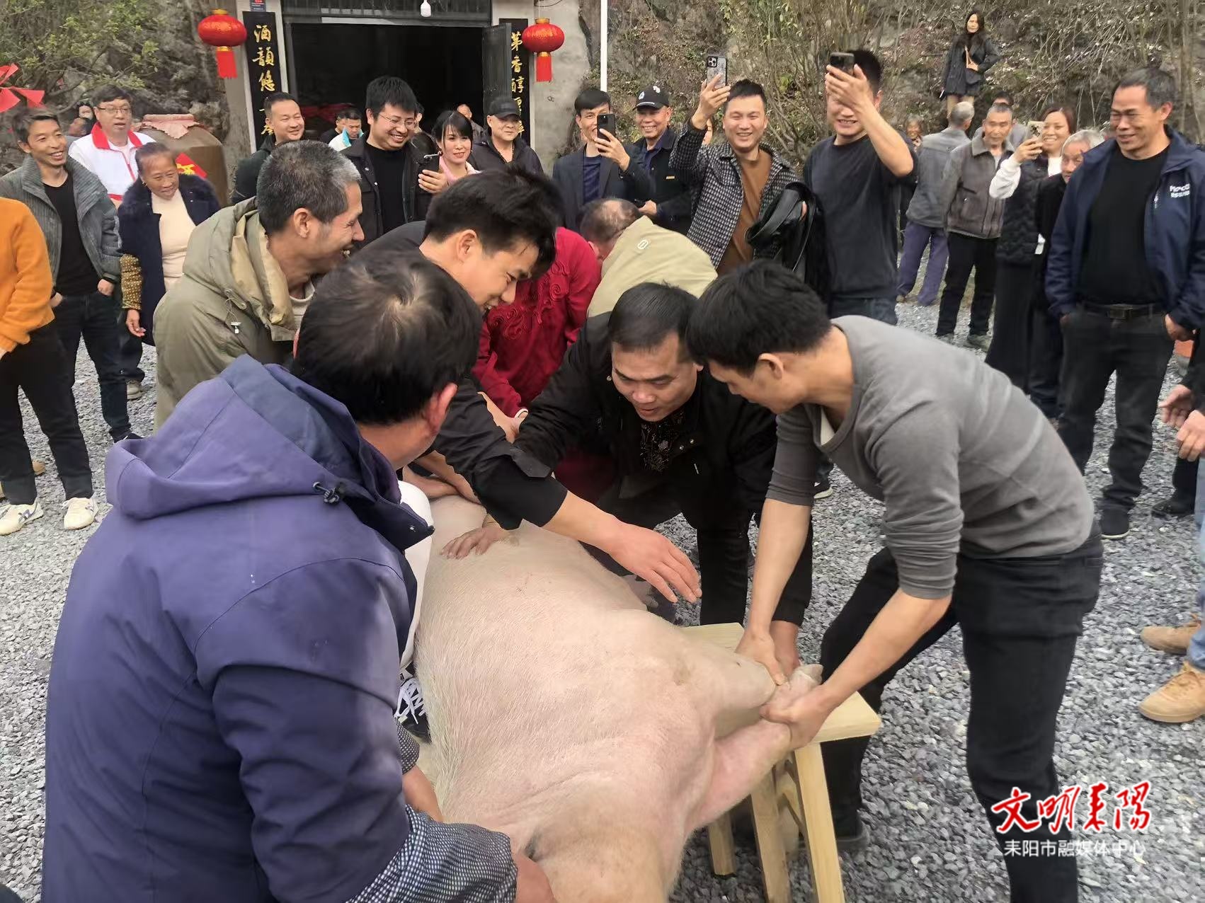 ​传统年味回归乡间 余庆街道栗梓村首办杀猪宴迎新春