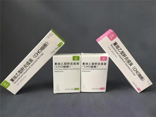 乙肝疫苗哪个牌子好：为何CHO疫苗对中国人群保护更具针对性