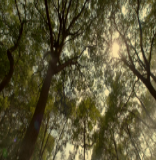 新时代廉洁文化微短剧《苹果》