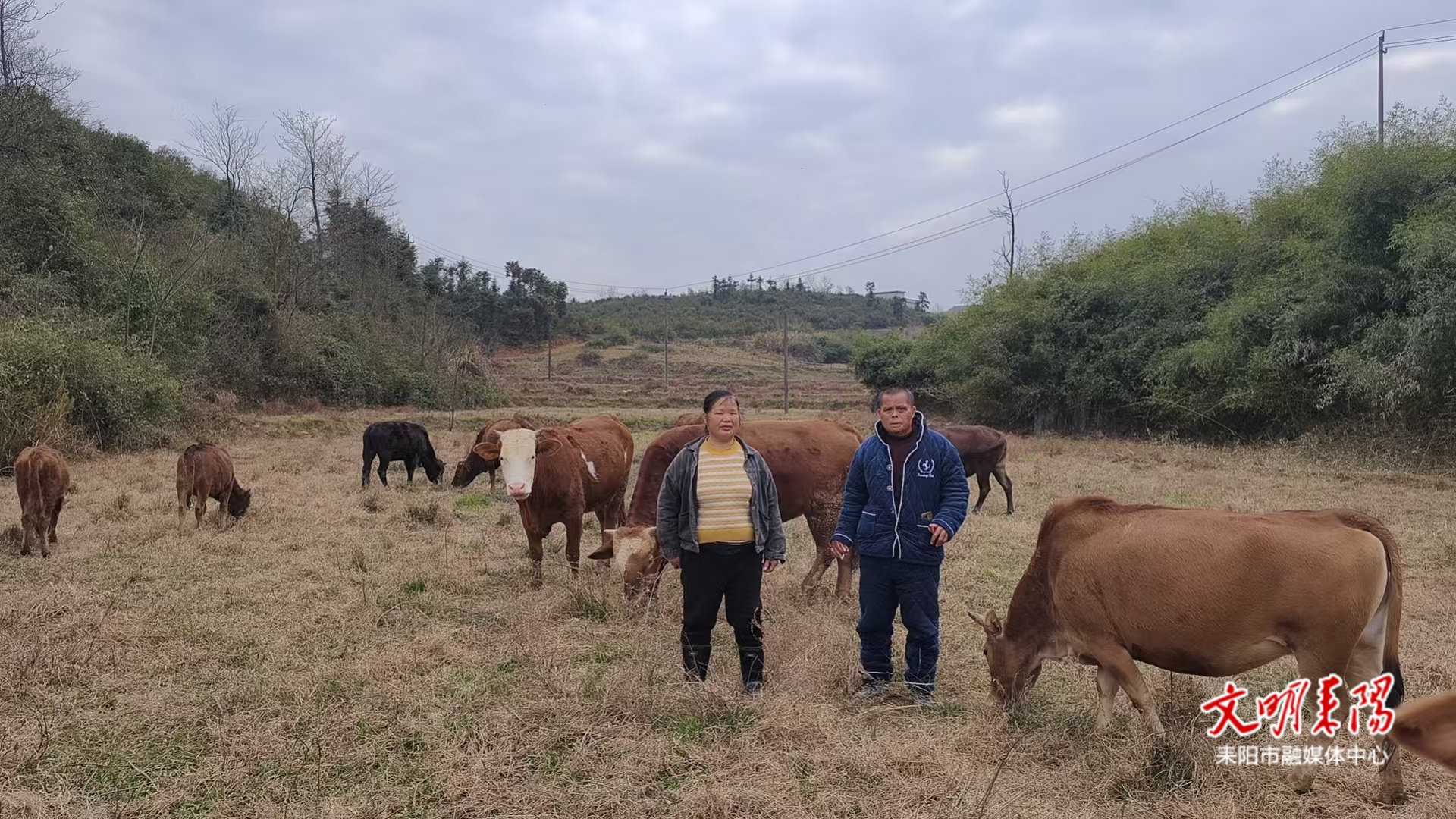 【山乡年味浓】牛棚炊烟暖 马年日子甜