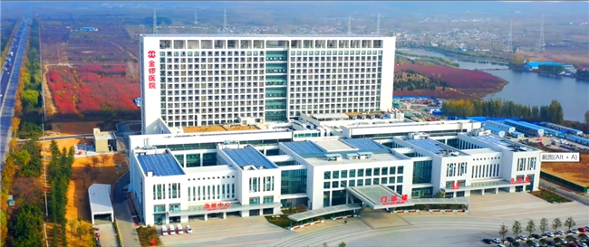 金锣：勇担时代使命，以产业引擎驱动区域经济高质量发展