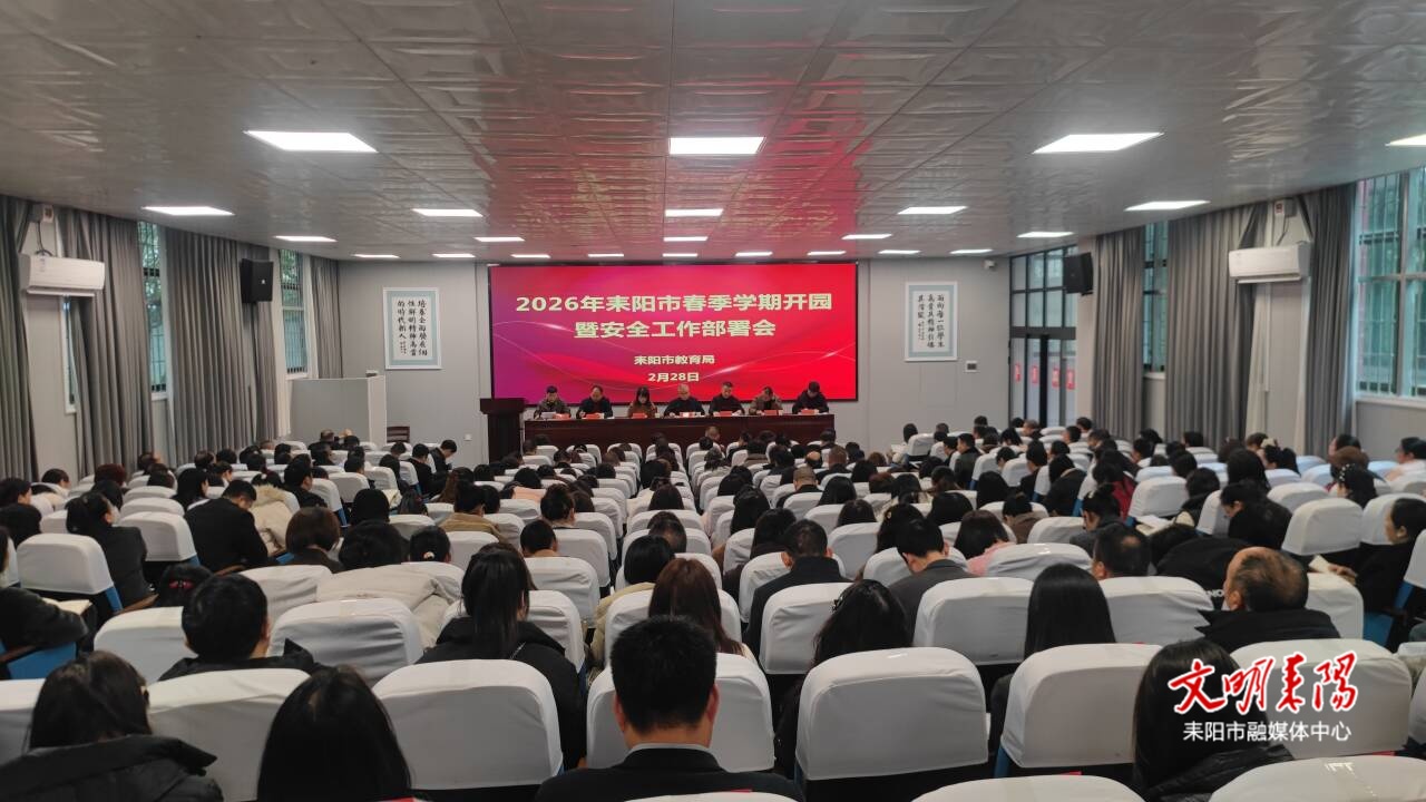 普惠性幼儿园覆盖率达92%！耒阳学前教育发展质效双升