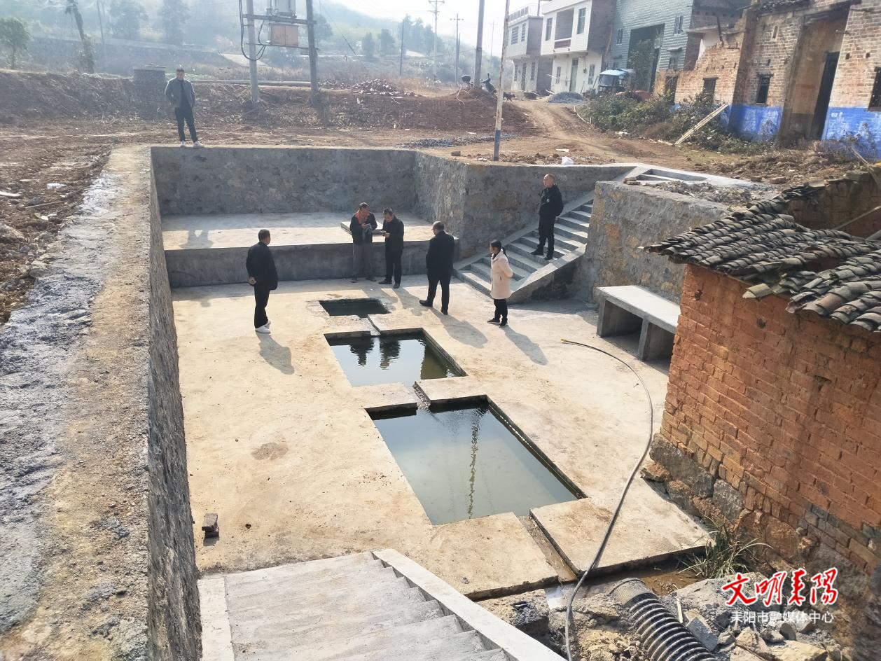 太平圩乡：锦旗映初心 实干惠民生