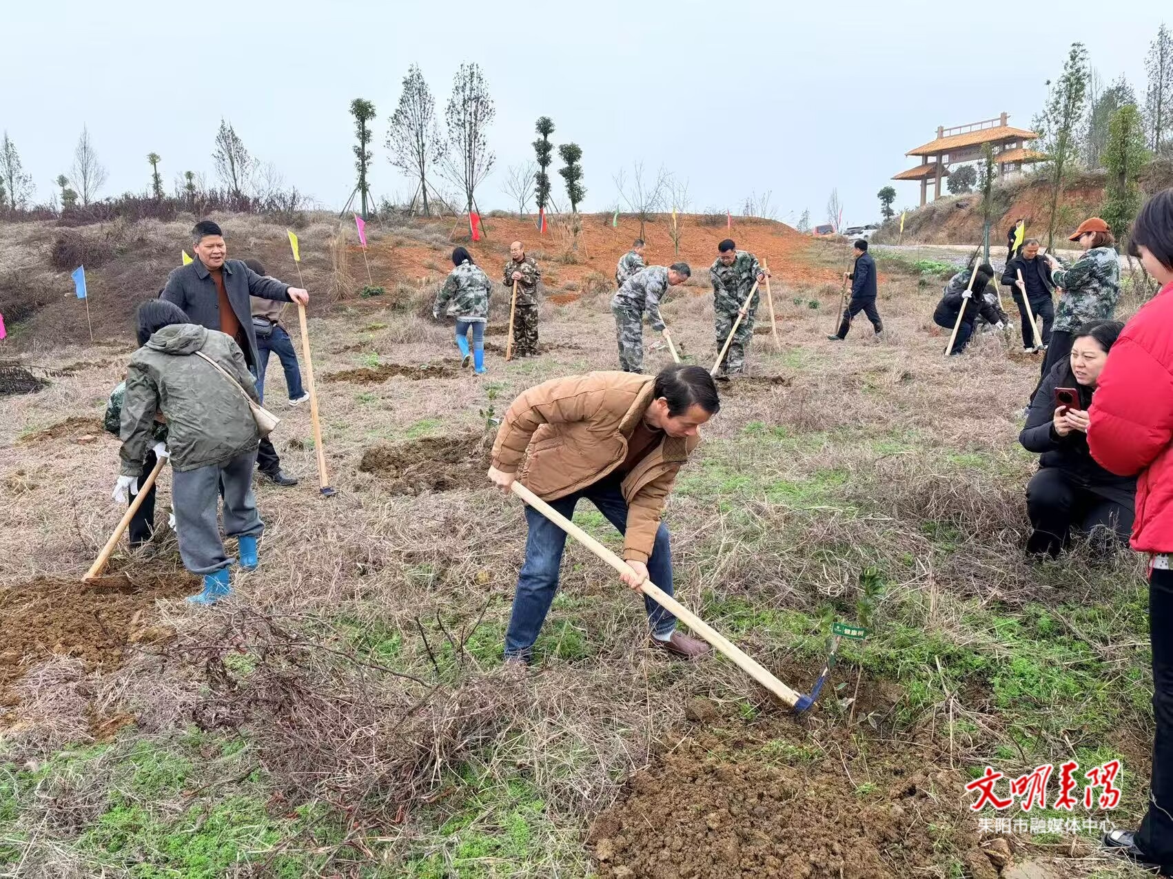 市林业局开展全民义务植树活动