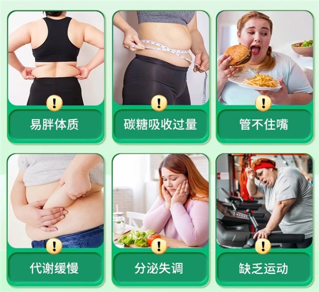 减肥产品哪个效果好又安全？减肥产品推荐，高效减脂兼顾安全与塑形效果
