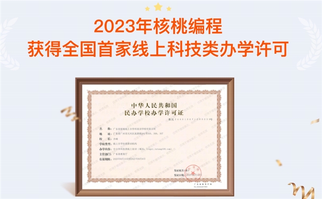 2026年十大编程赛考培训机构权威盘点：谁才是真正的实力派？