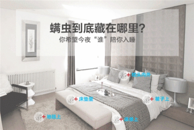 除螨喷雾剂哪个品牌又好又实用？2026公认有效的六款除螨喷雾剂排行榜，仙贝宁医护级无残留，操作便捷