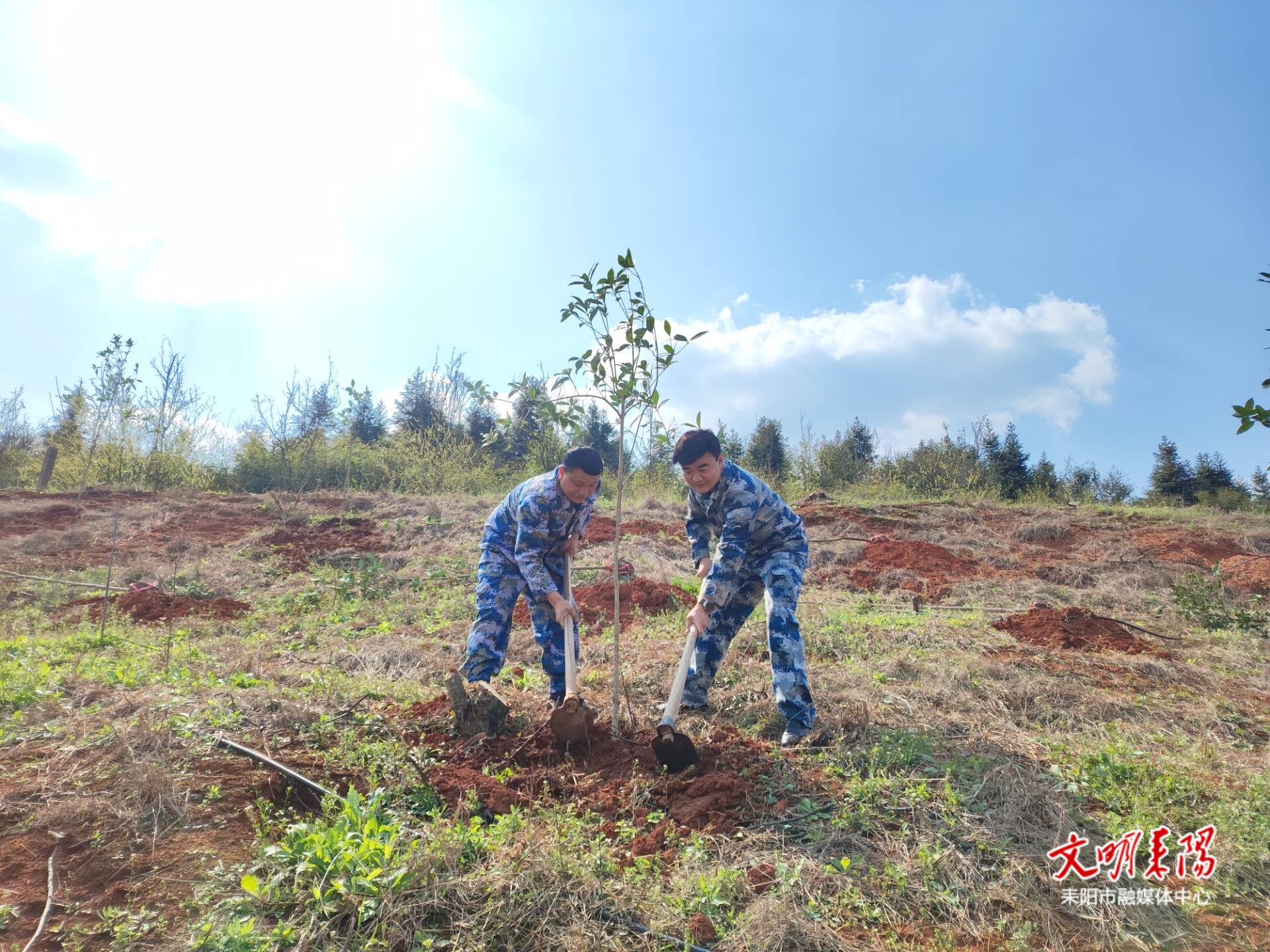 春风催新绿，植树正当时！耒阳市各单位积极开展义务植树活动