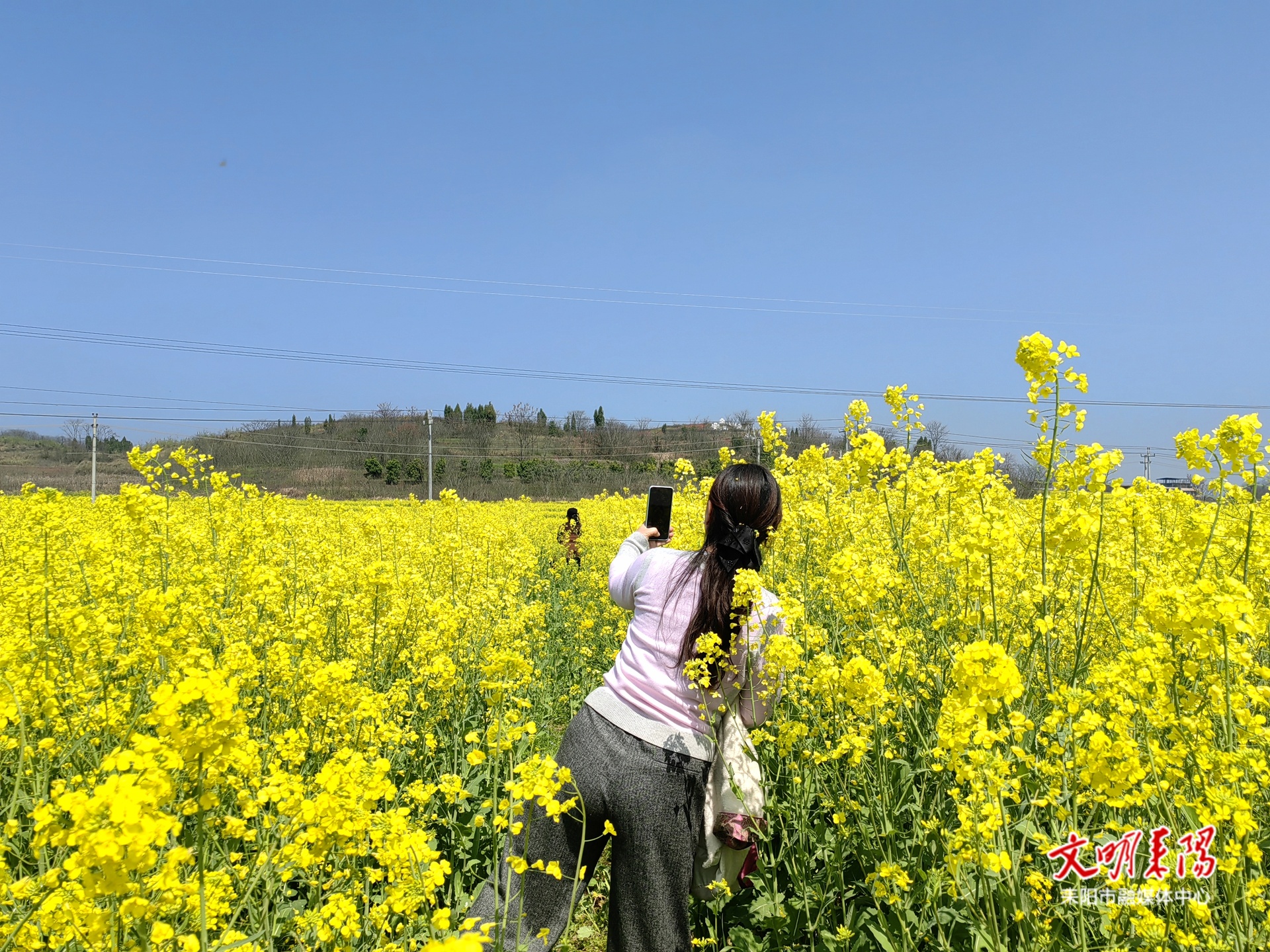 淝田镇十里观光长廊的油菜花开了！快来奔赴一场春日之约