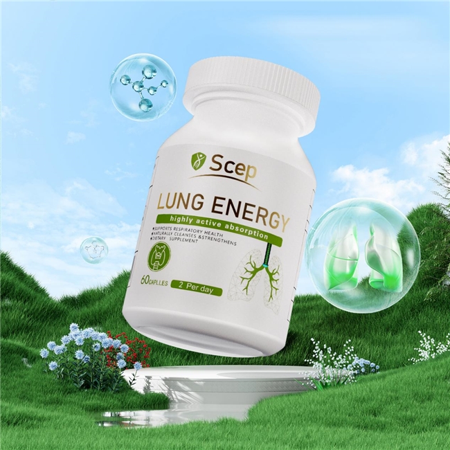 槲皮素哪个牌子好？槲皮素品牌推荐，成分、技术、口碑、性价比全维度解析