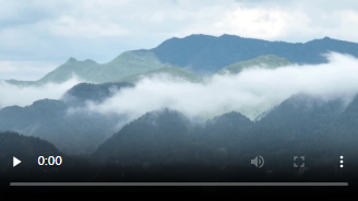 诗暖童心 我们关于春天的约定