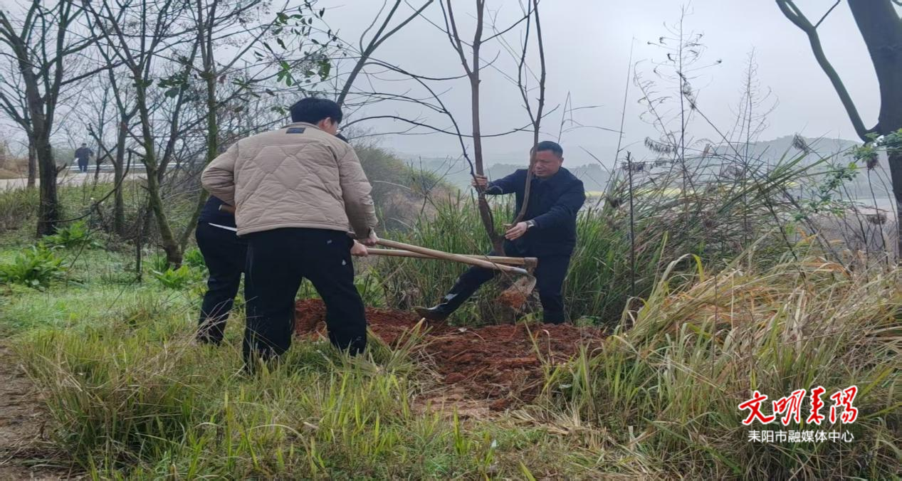 【健康人生 绿色无毒】禁种铲毒守净土，植树护绿筑屏障